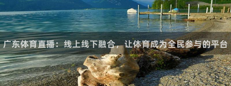 nba178在线直播：广东体育直播：线上线下融合，让体育成为全民参与的平台