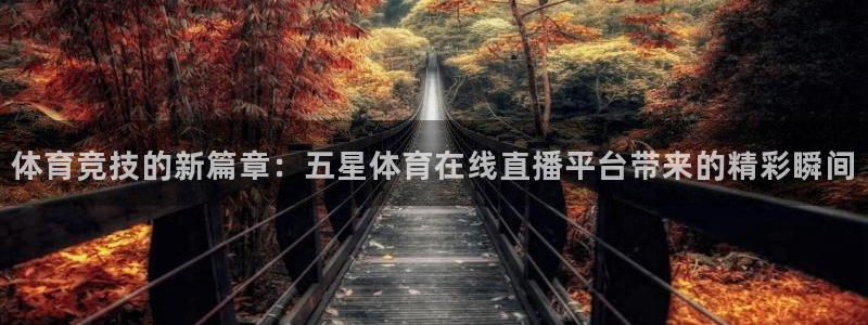 178直播体育芒果说球新的好游戏.认证网.org：体育竞技的新篇章：五星体育在线直播平台带来的精彩瞬间