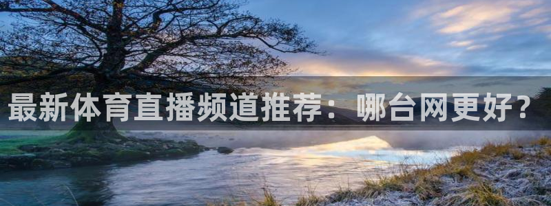 足球免费直播178：最新体育直播频道推荐：哪台网更好？