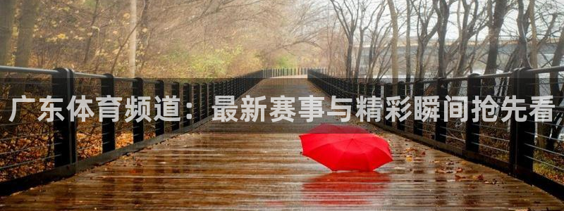 178直播体育在线观看：广东体育频道：最新赛事与精彩瞬间抢先看